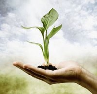 5 bài học rất cần cho cuộc sống 