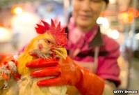 Dịch cúm gia cầm và nghiên cứu phòng chống lây nhiễm cúm gia cầm trên thế giới