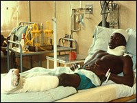 10 sự kiện quốc tế về phòng chống bạo lực 