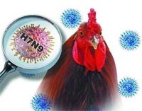 Điểm báo về các thông tin liên quan đến y tế từ ngày 15/1 đến 17/1 năm 2014