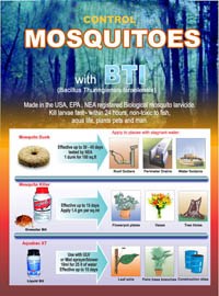 Thông tin cập nhật của WHO về bệnh Chikungunya 