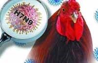 Điểm báo về các thông tin liên quan đến y tế từ ngày 6/2 & 7/2 năm 2014