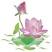 Những danh y, thầy thuốc nổi tiếng của Việt Nam