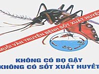 Kiến thức tổng quan và chiến lược phòng chống sốt xuất huyết dengue của WHO 