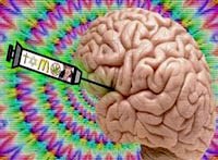 Những thành tựu và phát minh y học nổi bật trên thế giới năm 2013 