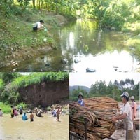 Sốt rét tại Thừa Thiên Huế tiếp tục giảm 