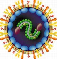 Điểm báo về các thông tin liên quan đến y tế ngày 17/2 và 18/2 năm 2014