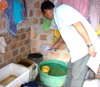 Virus dengue týp 3 tái xuất hiện ở phía Nam Thái Bình Dương