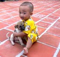 Phòng trẻ nhỏ bị nhiễm bệnh sán dây chó