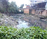 Biện pháp xử lý “dịch muỗi” phát triển 