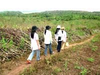 Cắm chốt bác sĩ về xã