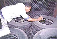 Thông tin cập nhật của WHO về sốt xuất huyết và sốt xuất huyết trầm trọng