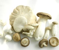 Điểm báo về các thông tin liên quan đến y tế từ ngày 19/3 đến 24/3 năm 2014