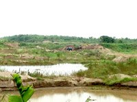 Chỗ đọng nước giúp muỗi sinh sản lây truyền sốt xuất huyết