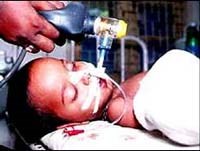 Thông tin cập nhật của WHO năm 2014 về viêm não Nhật Bản-một bệnh nguy hiểm do véc tơ truyền