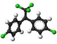 Phát hiện ra bí mật gen của muỗi kháng với DDT và hóa chất tẩm màn