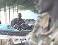 Ngày Sức khỏe thế giới năm 2014 tập trung vào các mối đe dọa lớn từ các vết cắn nhỏ