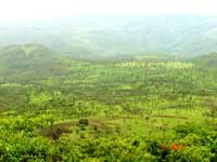 Nhiệt độ ấm hơn đẩy sốt rét lên ở các vùng cao hơn