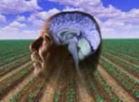 Thuốc trừ sâu làm tăng nguy cơ mắc bệnh Parkinson: một số người có thể nhạy cảm hơn