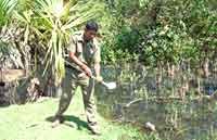 Những tiến bộ trong phòng chống sốt rét ở một số nước trên thế giới