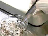 Xét nghiệm sốt rét bằng máy quét laze