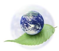 Ngày môi trường thế giới và các thuật ngữ về môi trường