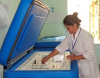 Dây chuyền lạnh quyết định hiệu lực vaccin phòng bệnh