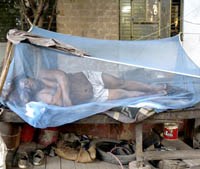 WHO: Đầu tư cho sốt rét tạo ra nhiều ý nghĩa