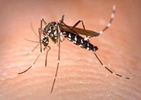 Cập nhật các công trình nghiên cứu khoa học mới về sốt rét trên thế giới và việt Nam tháng 4.2014