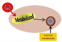 Thông tin cập nhật về nghiên cứu kháng hóa chất diệt côn trùng và muỗi sốt rét trên thế giới