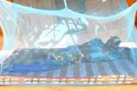 UNICEF: sốt rét trẻ em-thành tựu và thách thức 