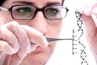 Kỹ thuật bộ gen mới có thể giúp cải thiện việc điều trị và phòng chống bệnh sốt rét