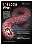 Tây Phi thắt chặt kiểm soát bệnh virus Ebola cho ngành giao thông và du lịch