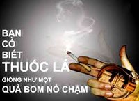 WHO: phòng chống tác hại thuốc lá và tăng thuế thuốc lá để cứu được nhiều mạng sống