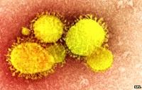 Tình hình dịch bệnh và phòng chống một số dịch bệnh truyền nhiễm trên thế giới