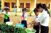 Cập nhật thông tin dịch bệnh truyền nhiễm và các hoạt động phòng chống dịch trong nước 5 tháng đầu 2014