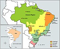 10 “điểm nóng” toàn cầu về các bệnh nhiệt đới bị lãng quên (NTDs)