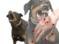 Cập nhật tình hình dịch bệnh truyền nhiễm đến đầu tháng 6 năm 2014