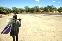 Vẽ bản đồ sự khác biệt về gen của muỗi truyền bệnh sốt vàng da, sốt rét 