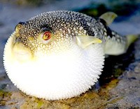 Điểm báo về các thông tin liên quan đến y tế ngày 20/6 và 21/6 năm 2014