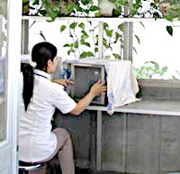 Cô gái nuôi muỗi