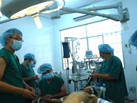 Điểm báo về các thông tin liên quan đến y tế ngày 22/6 và 23/6 năm 2014