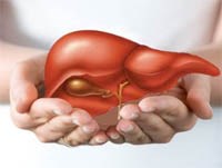 Thông tin cập nhật của WHO về phòng chống viêm gan A