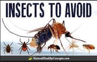 Những hiểu biết về bệnh do véc tơ truyền và cách phòng chống (phần 1)