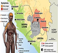 WHO và Bộ trưởng y tế các nước Tây Phi họp khẩn cấp về dịch bệnh Ebola 