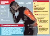 Toàn cảnh về sự lây truyền do virus Chikungunya và tác động của chúng trên toàn cầu