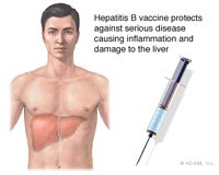 WHO: Cập nhật thông tin về phòng chống viêm gan B trên thế giới