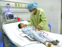 Mùa vải chín, chim tu hú gọi bầy, viêm não Nhật Bản bùng phát