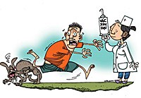 Phòng chống bệnh dại là trách nhiệm của cộng đồng