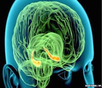 Những ký ức tương tự xếp chồng để tăng khoảng trống cho não bộ